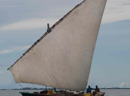 Los árabes en las costas orientales de África