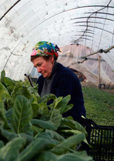 “El lugar de las fresas”, de Maite Vitoria Daneris 