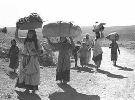 Siete décadas de Nakba 