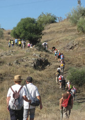 Ruta de senderismo: "Camino de los Nogales, hasta Madinat al-Zahra" 