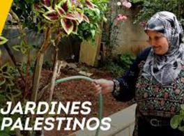 "Jardines palestinos" y "Yallah, yallah" 