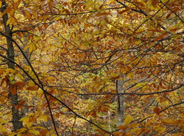 Talleres de otoño e invierno en Casa Árabe 