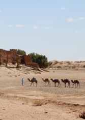 La adaptación al cambio climático en la región MENA: prácticas y lagunas 