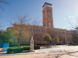 Visitas guiadas a la sede de Casa Árabe en Madrid 