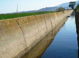  Seminario “Water scarcity and governance in Jordan and Spain” 